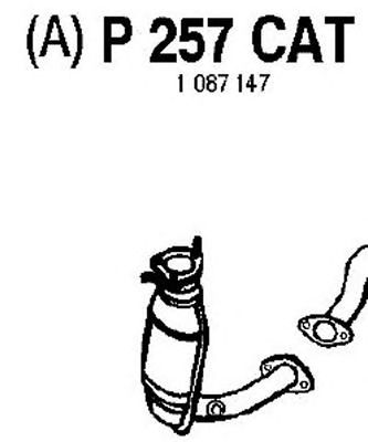 FENNO p257cat -  Катализатор