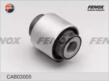 FENOX cab03005 -  Подвеска, рычаг независимой подвески колеса
