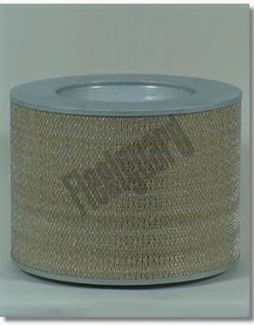 FLEETGUARD af25427 -  Воздушный фильтр
