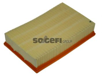 FRAM ca8919 -  Воздушный фильтр