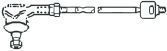 FRAP t333 -