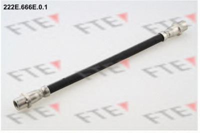 FTE 222e666e01 -  Тормозной шланг