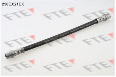 FTE 250e621e0 -  Тормозной шланг