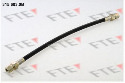 FTE 3156030b - Тормозной шланг