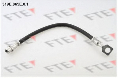 FTE 319e865e01 -  Тормозной шланг