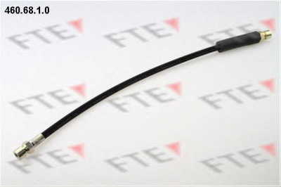 FTE 4606810 -  Тормозной шланг