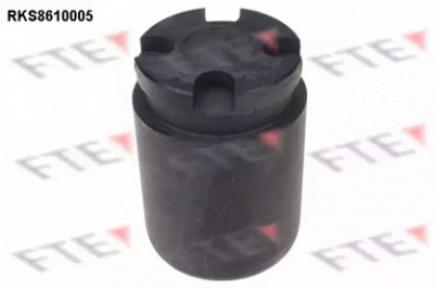 FTE rks8610005 -