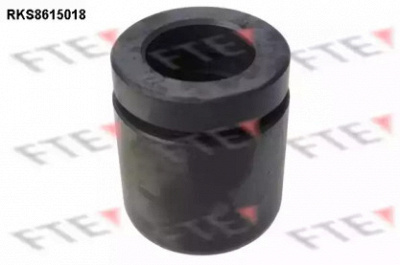 FTE rks8615018 -