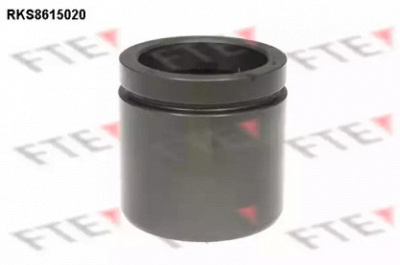 FTE rks8615020 -