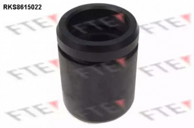 FTE rks8615022 -  