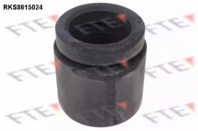 FTE rks8615024 -