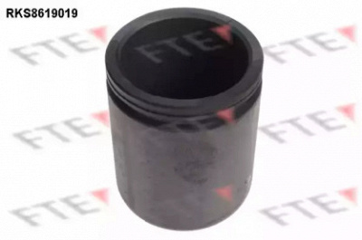 FTE rks8619019 -  