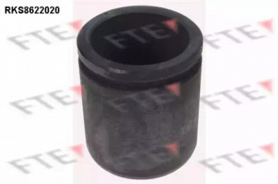 FTE rks8622020 -