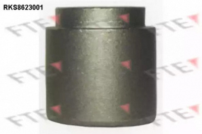 FTE rks8623001 -  