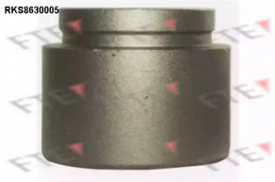 FTE rks8630005 -  