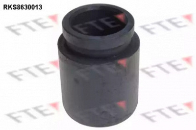FTE rks8630013 -  