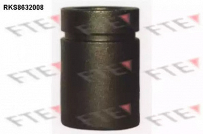FTE rks8632008 -