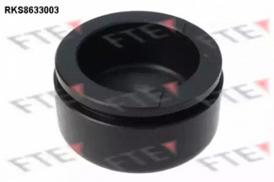 FTE rks8633003 -