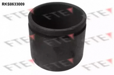 FTE rks8633009 -