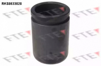 FTE rks8633028 -