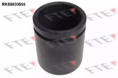 FTE rks8633055 -