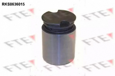 FTE rks8636015 -