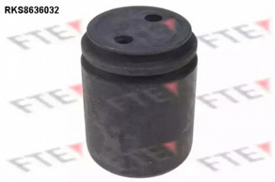 FTE rks8636032 -  