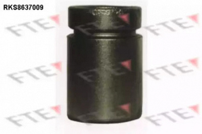 FTE rks8637009 -