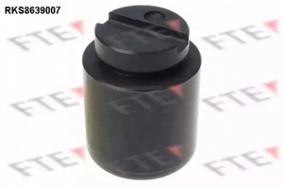 FTE rks8639007 -