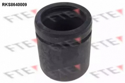 FTE rks8640009 -