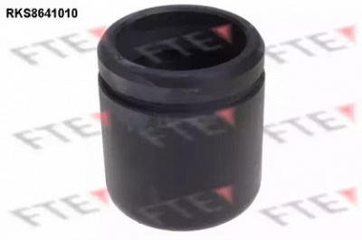 FTE rks8641010 -