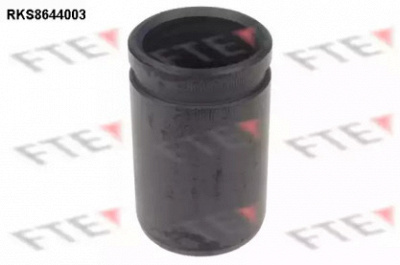 FTE rks8644003 -  