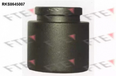 FTE rks8645007 -