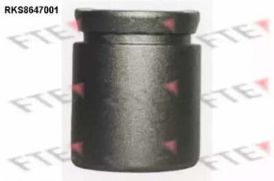 FTE rks8647001 -