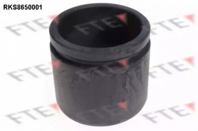 FTE rks8650001 -