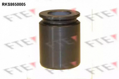 FTE rks8650005 -  