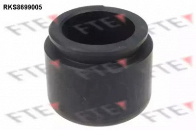 FTE rks8699005 -  