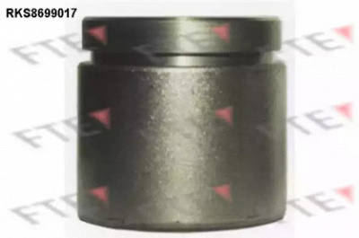 FTE rks8699017 -  