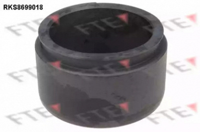 FTE rks8699018 -