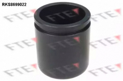 FTE rks8699022 -  