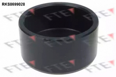FTE rks8699028 -