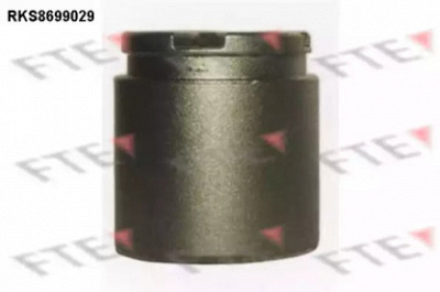 FTE rks8699029 -