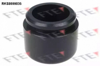 FTE rks8699035 -  