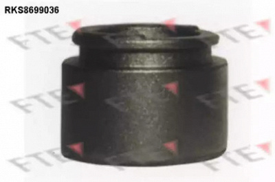 FTE rks8699036 -  