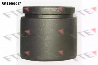 FTE rks8699037 -