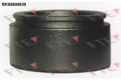 FTE rks8699039 -