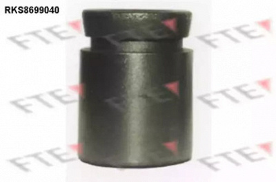 FTE rks8699040 -