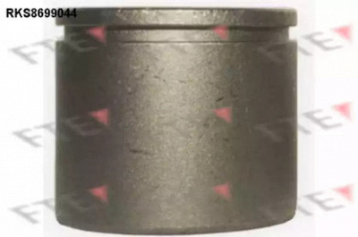 FTE rks8699044 -  