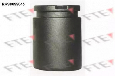 FTE rks8699045 -  