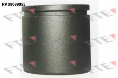 FTE rks8699055 -  